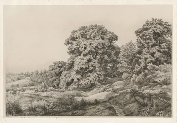 Eiken bij een vijver, 1852