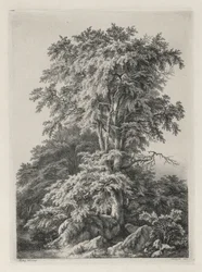 Studies Getekend en Gegraveerd naar de Natuur: Het Strand, Fontainebleau (Études dessinées et Gravées D