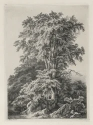 Studies getekend en gegraveerd naar de natuur: Het strand, Fontainebleau..., 1840