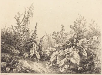 Studie van een klit, 1840