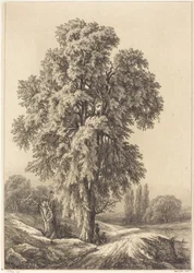 De Iep, 1840