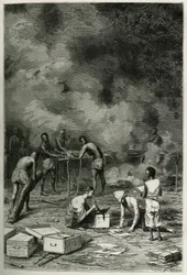 Het drogen van herbariumplanten, op grote bamboekleien, voordat de dokter ze classificeert en in zijn kisten opbergt, gravure door Eugene Burnand, ter illustratie van het verhaal van Laos en de wilde bevolkingen van Indochina door dokter Harmand, in 1877, 