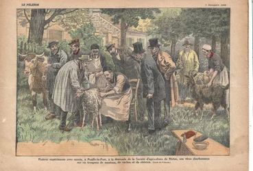 In Pouilly-le-Fort, op verzoek van de Melun Landbouwvereniging, testte Pasteur met succes zijn miltvuurvirus op een kudde schapen, koeien en geiten., Le Pèlerin, 5/11/1922