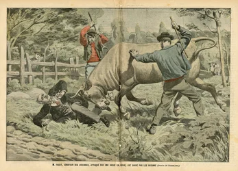 Illustratie van Eugene Damblans (1865-1945) in Le Pelerin
