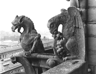 Waterspuwers van de balustrade van de Grande Galerie van de westelijke gevel, replica van een 12e-eeuws origineel