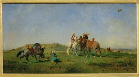 Chasse au faucon en Algerie - Jagen met valken in ...