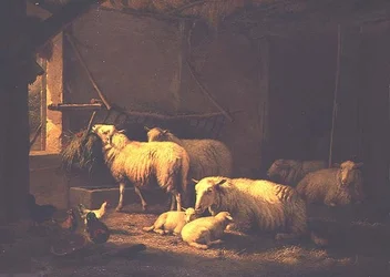 Schapen en gevogelte in een schuur