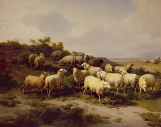 Schapen aan de kust, 1878