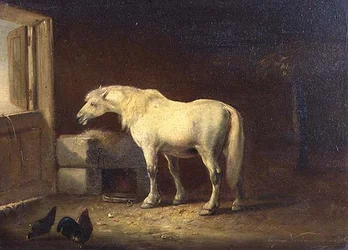 Wit paard in een stal