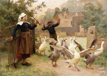 De Gaggle Leiden