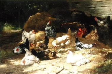 Kippen
