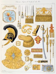 Chevau-Légers de la Garde du Roi, Insignia