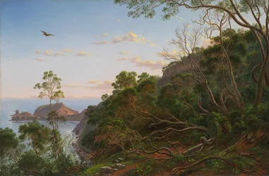 Theebomen bij Cape Schanck, Victoria