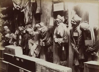 Catacomben, Convento dei Cappucini, Palermo, ca. 1895