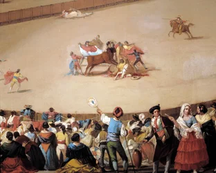 De verdeelde arena, detail