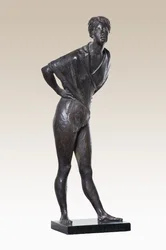 Vrouwelijke Figuur
