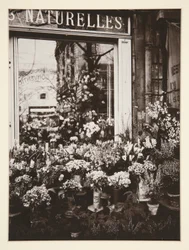 Bloemenwinkel
