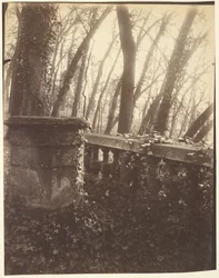 Saint-Cloud Park, Parijs