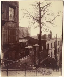 Trap, Montmartre