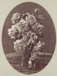 [Rozen], ca. 1875