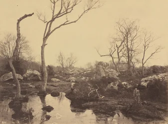 Belle Croix, ca 1858 (foto)
