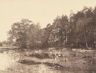 Moeras bij Piat (Belle-Croix Plateau), ca 1863 (foto)