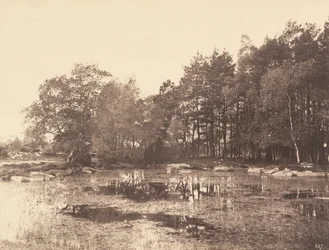 Moeras bij Piat Belle-Croix Plateau