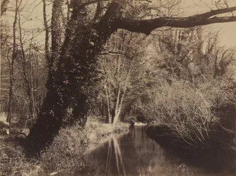 Parc de Courances, eind 1850s