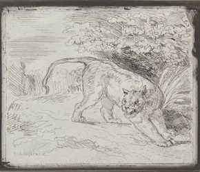 Een Gevangen Tijger