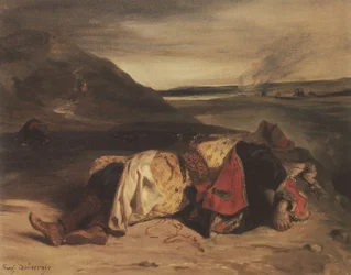 Frans: La mort de Hassan
