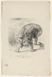 Staande leeuw, 1833