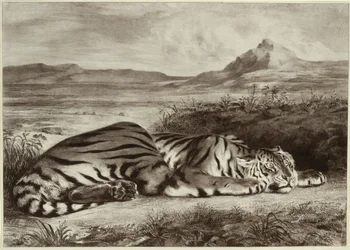 Koninklijke tijger