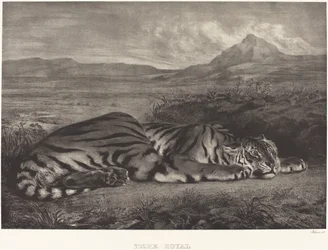 Koninklijke Tijger Tigre Royal