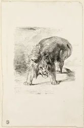 Staande leeuw