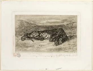 Rustende tijger in de woestijn