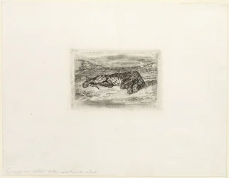 Rustende Tijger in de Woestijn