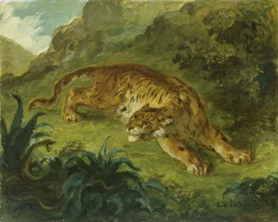 Tijger en slang