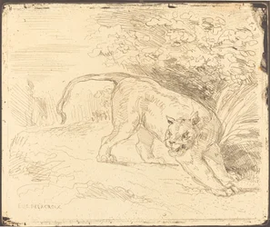 Tijger in rust, 1854
