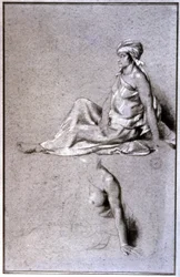 Vrouwenstudies, Sahel