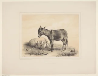 Rustende pakezel