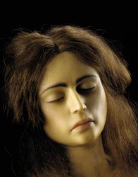 Anatomisch model van een ovariumzwangerschap (detail)