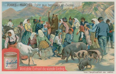 Dierenmarkt in Sicilië
