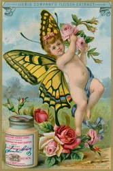 Vlinder Cherub met Rode Rozen