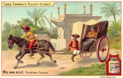Caleza in Yucatan