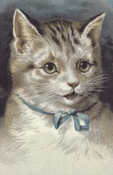 Kat met blauwe kraag (chromolitho)