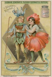 Cyclamen en Klaproos