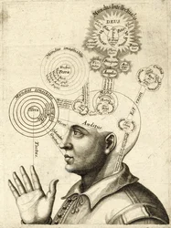 Diagram van Menselijke Gedachten en de Vier Zintuigen, ca. 1650
