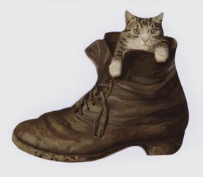 Kitten in een laars