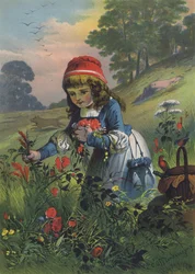Roodkapje