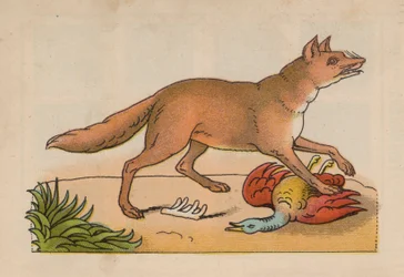 Pagina uit het Magische Boek